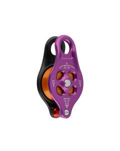 DMM Pinto Rig 2
